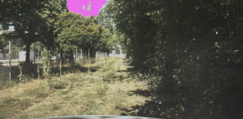 After: the canopy is recognised as trees