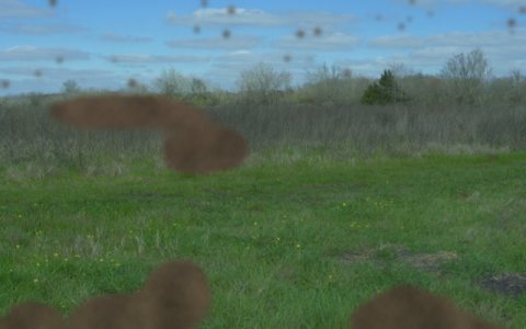 Mud sample frame 7